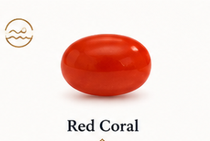 Natural Red Coral (Moonga) Gemstone